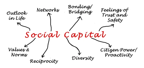 Diagramm des Sozialkapitals — Stockfoto