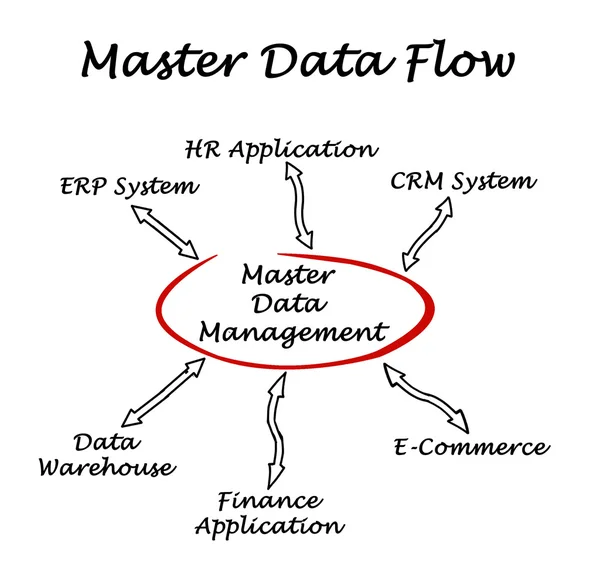 Diagrama do fluxo de dados mestre — Fotografia de Stock