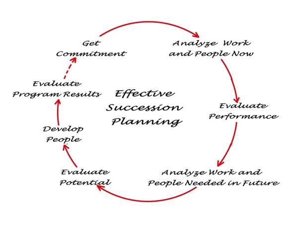 Diagram of Effective Succession Planning — Stock Photo, Image