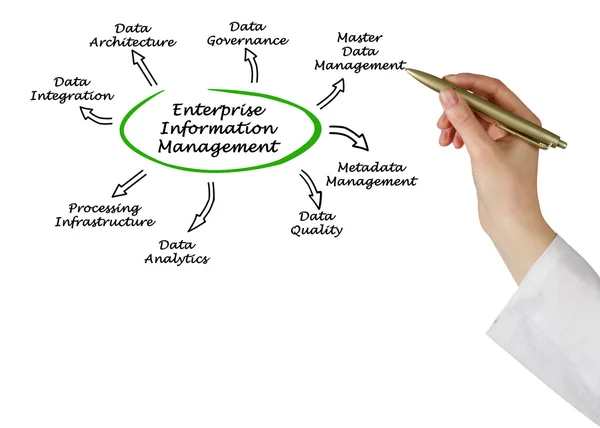 Diagram över Enterprise Information Management — Stockfoto