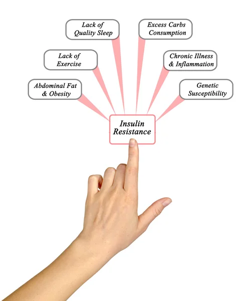 Αιτίες της αντίστασης ινσουλίνης — Φωτογραφία Αρχείου