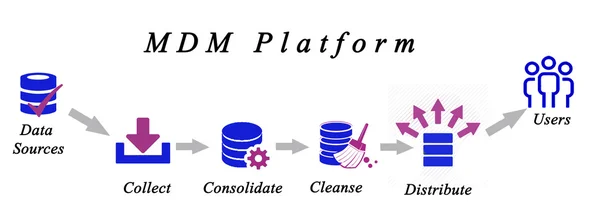 Diagrama de Gestión de Datos Maestros — Foto de Stock