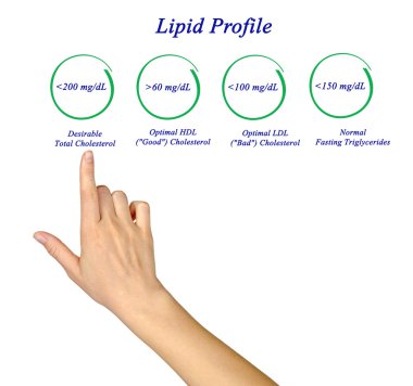 Lipid profili diyagramı