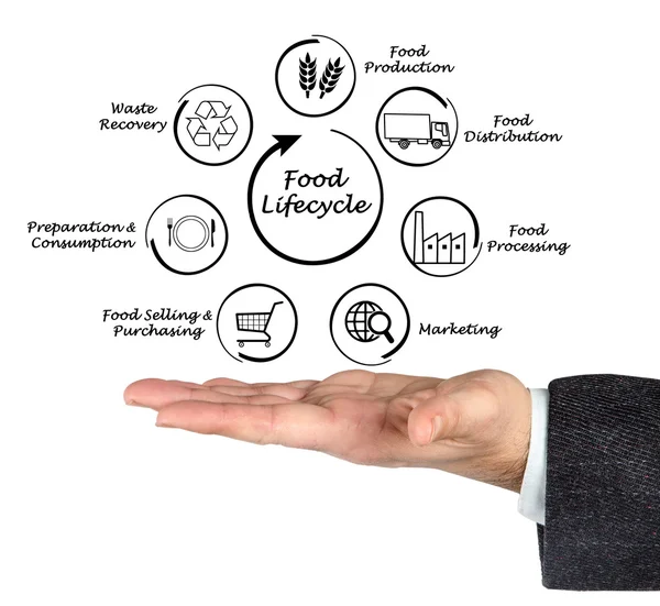 Diagram of Food lifecycle — Stock Photo, Image