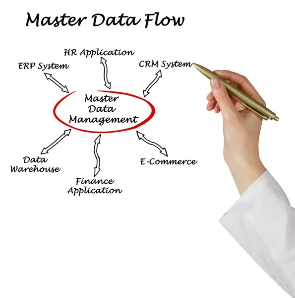 Schema del flusso di dati master — Foto Stock