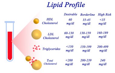 Lipid profili diyagramı