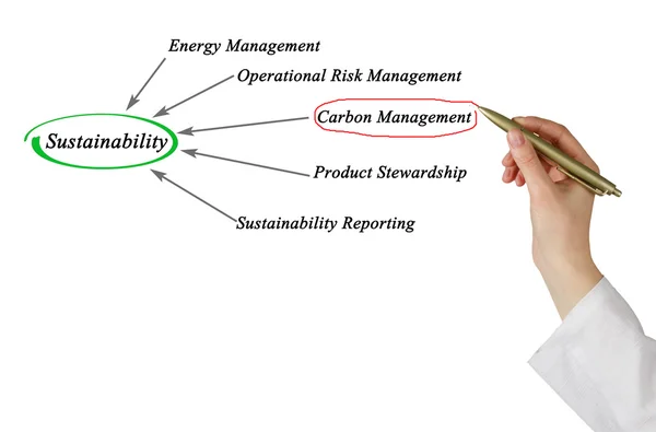 Presentazione del diagramma di sostenibilità — Foto Stock