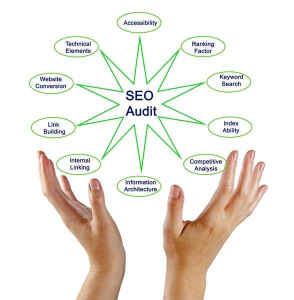 Diagramm der SEO-Prüfung — Stockfoto