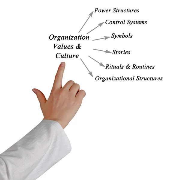 Diagrama de valores y cultura de la organización — Foto de Stock