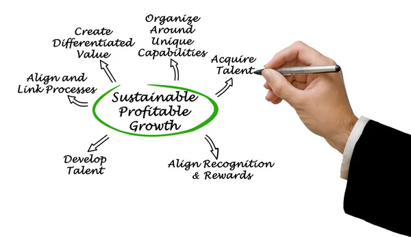 Diagrama de crecimiento sostenible y rentable — Foto de Stock