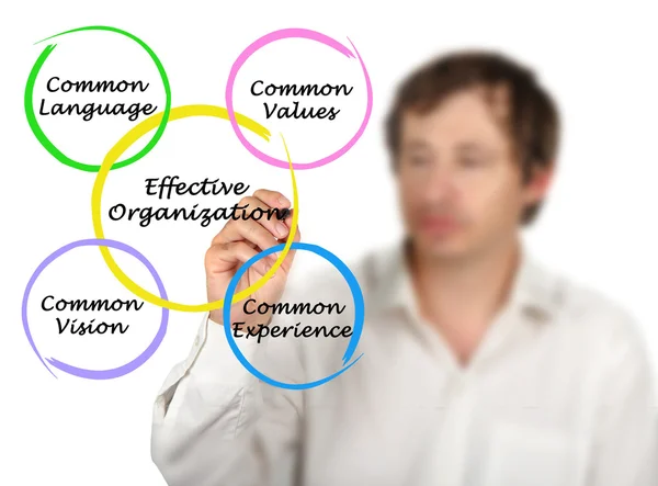 Diagram van effectieve organisaties — Stockfoto