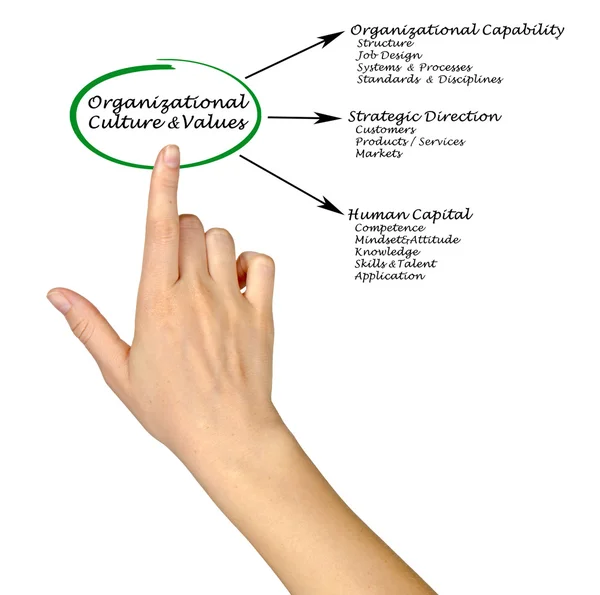 Diagrama de Cultura y Valores Organizacionales — Foto de Stock