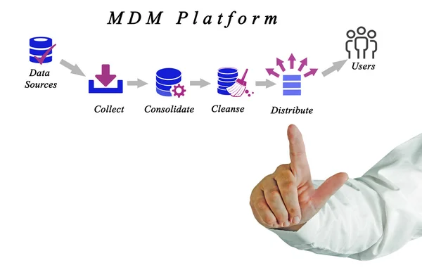 Diagramme de gestion des données maître — Photo