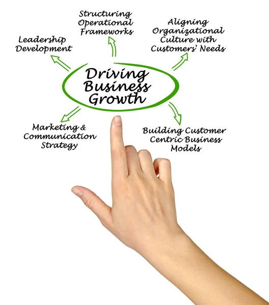 Diagrama de impulsar el crecimiento empresarial — Foto de Stock