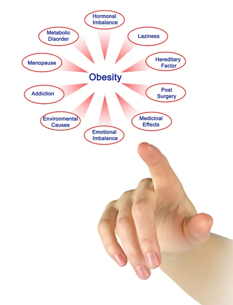 Презентация диаграммы ожирения — стоковое фото
