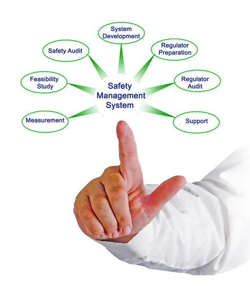 Diagrama del sistema de gestión de la seguridad —  Fotos de Stock