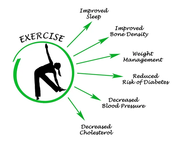 stock image Diagram of Usefulness of exercising