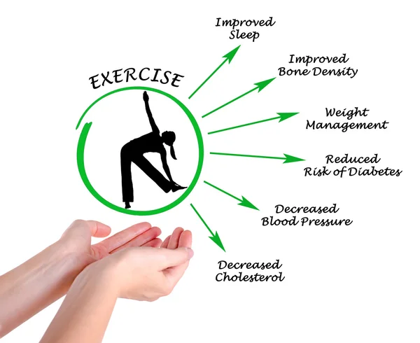 Diagramm der Nützlichkeit des Trainings — Stockfoto