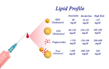 Lipid profili diyagramı