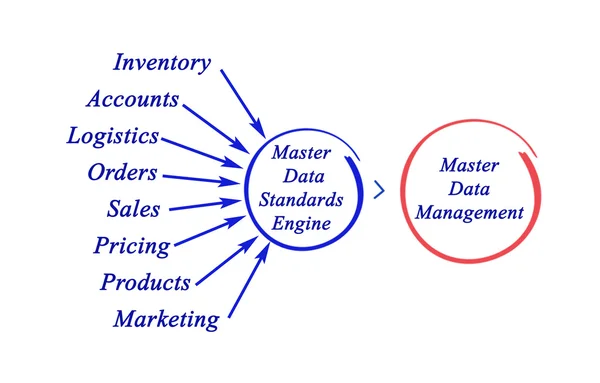 Diagrama de Gestão de Dados Mestres — Fotografia de Stock