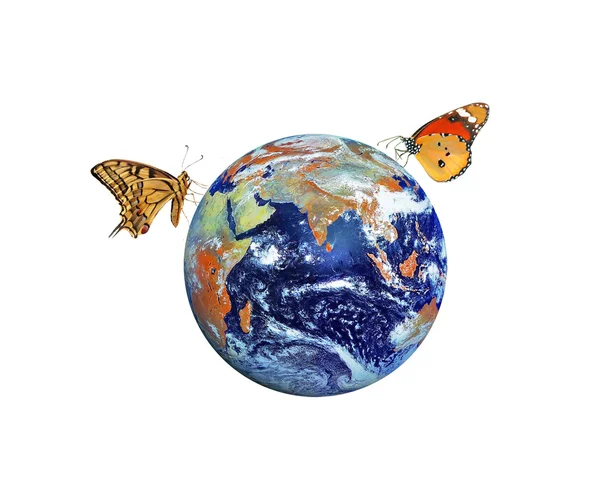 Бабочка на планете Земля. Элементы этого изображения предоставлены NA — стоковое фото