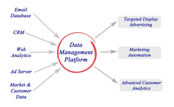 Diagram över Data Management Platform — Stockfoto