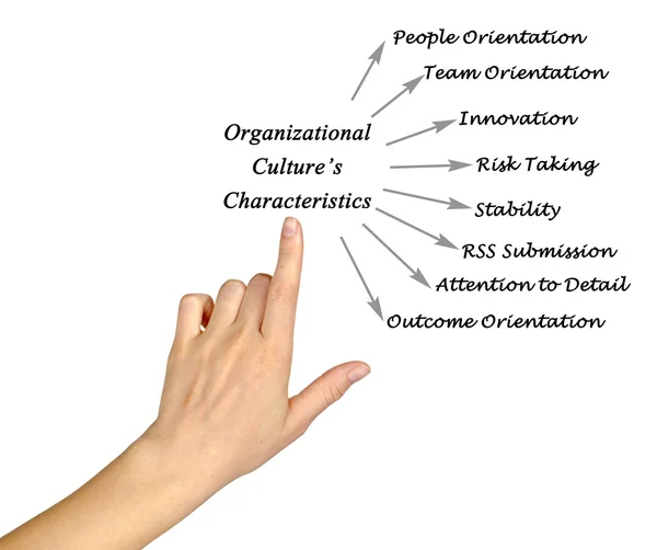 Diagram of Characteristics of Organizational Culture — Stock Photo, Image