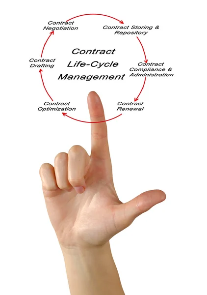 Діаграма управління життєвим циклом контракту — стокове фото