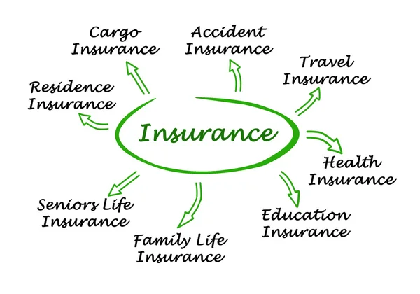 Diagrama de los tipos de seguro —  Fotos de Stock