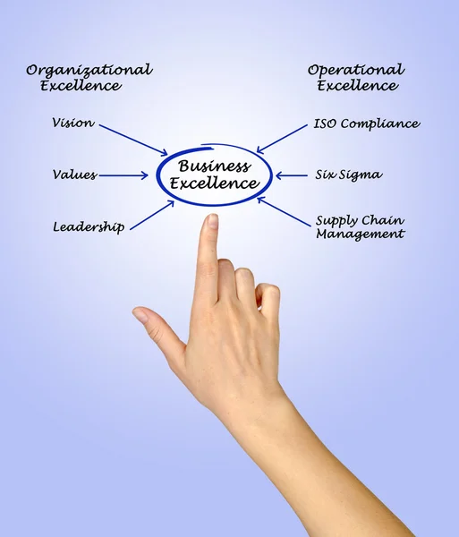 Diagram van business excellence — Stockfoto