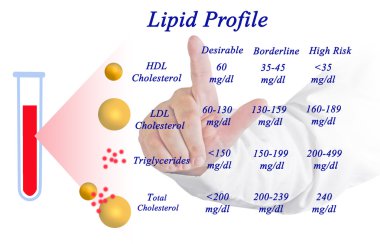 Lipid profili tanıtımı
