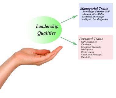 Diyagram liderlik nitelikleri