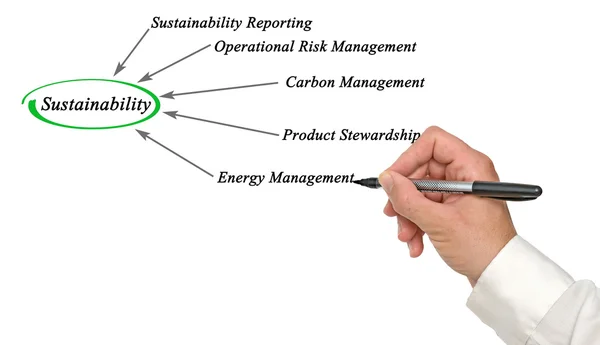 Darstellung des Diagramms der Nachhaltigkeit — Stockfoto