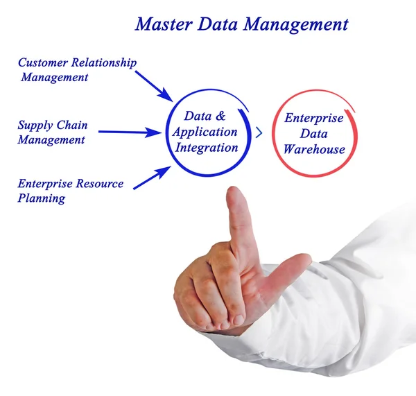 Presentatie van Master Data Management — Stockfoto