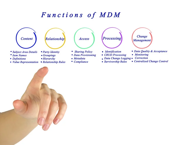 Functions of master data management — Stock Photo, Image