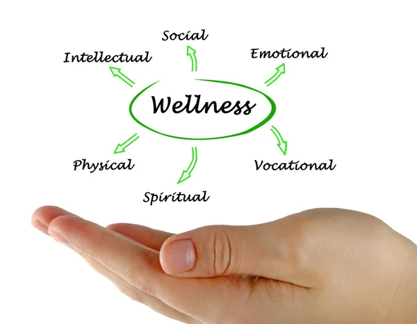 Presentation of Diagram of wellness — Stock Photo, Image