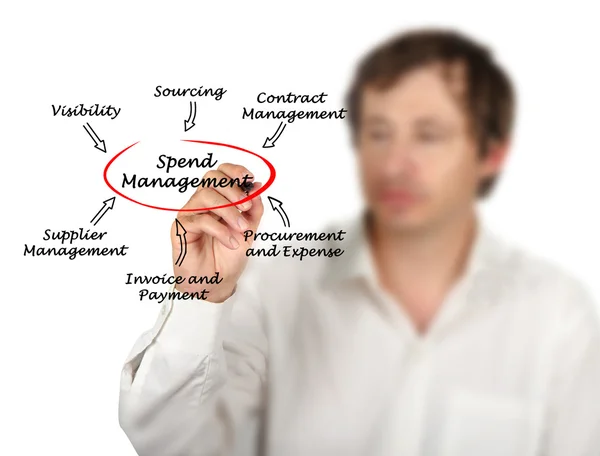 Diagram of Spend Management — Stock Photo, Image