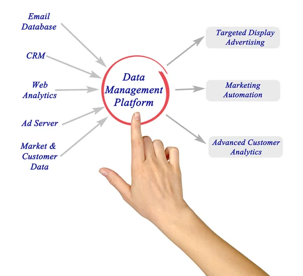 Diagramm der Datenmanagement-Plattform — Stockfoto
