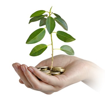 yeşil iş yatırım