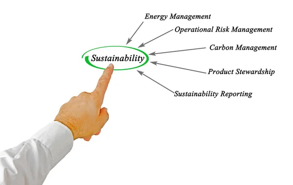 Darstellung des Diagramms der Nachhaltigkeit — Stockfoto
