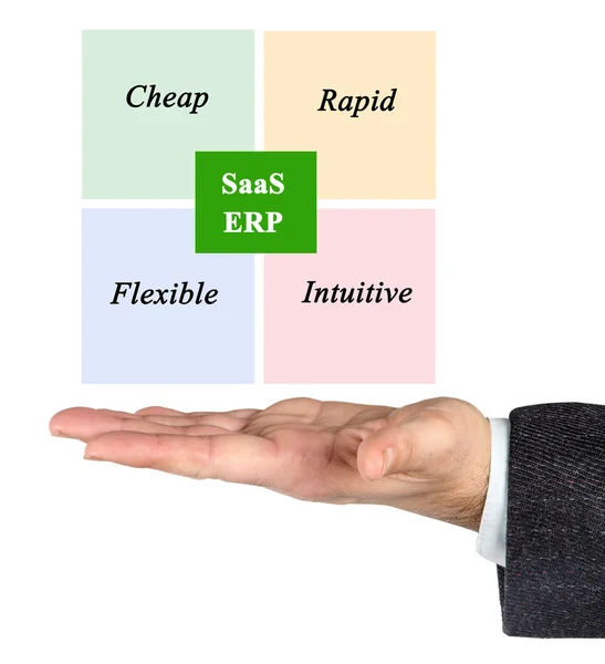 Beneficios del ERP en SAAS —  Fotos de Stock