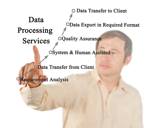 Diagram över DatadrifttjΣnster och datbehandling — Stockfoto