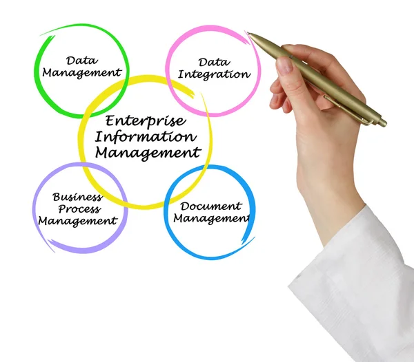 Diagram van Enterprise Information Management — Stockfoto