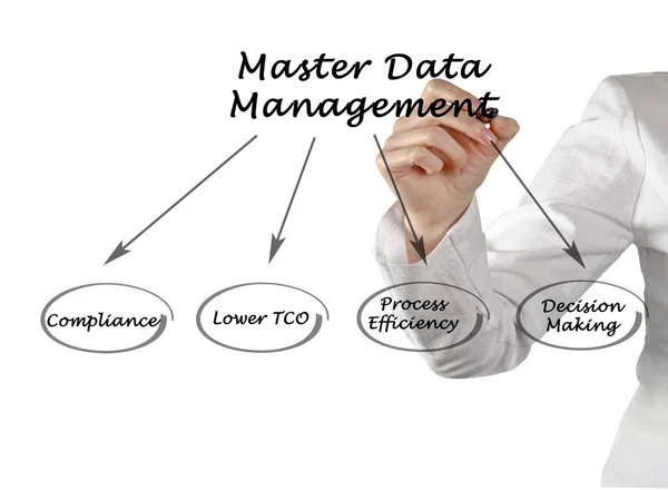 Diagrama de Gestão de Dados Mestres — Fotografia de Stock