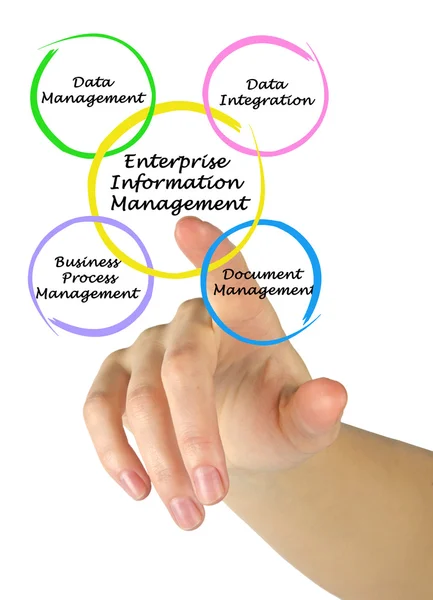 Diagram van Enterprise Information Management — Stockfoto