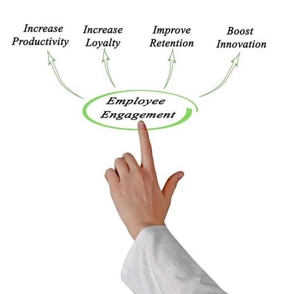 Diagram van de betrokkenheid van medewerkers — Stockfoto