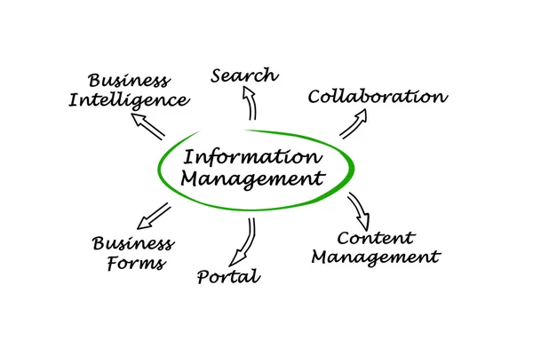 Diagrama de Gestión de la Información — Foto de Stock