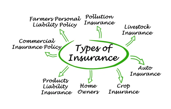 Diagram över typer av försäkringar — Stockfoto