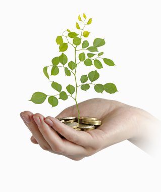 yeşil iş yatırım
