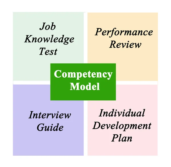 Diagram of Competency Model — Stock Photo, Image